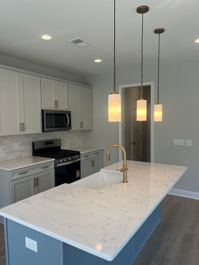 Building Photo - Available now. Beautiful 3 BR/2.5 BA New C...