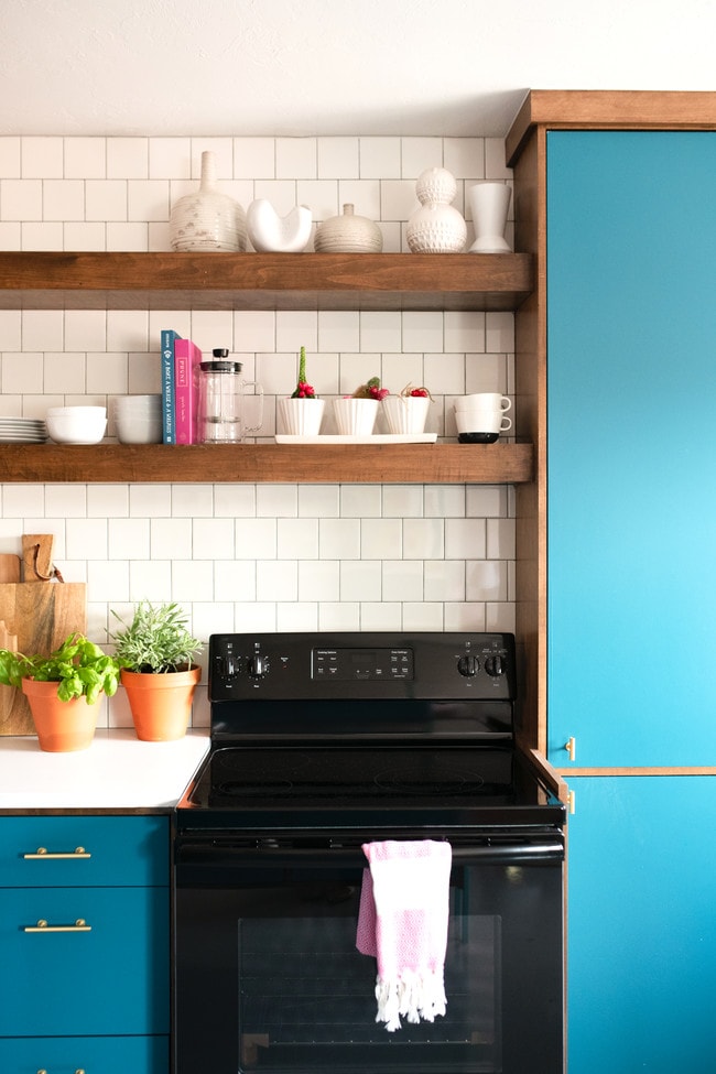 Bright and Vibrant - Flamingo