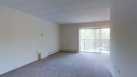 This single-floor space offers a clean, functional layout designed to maximize comfort and usability. The main living area is generously proportioned, featuring soft wall-to-wall carpeting that adds warmth underfoot. Crisp white walls and a paneled ceiling lend the space a bright, airy atmosphere throughout.

A standout feature of the living area is the full-width sliding glass door, which opens to a private balcony enclosed with vertical railing. The door floods the room with abundant natural light and frames a lush, verdant view of surrounding trees and greenery, creating a seamless connection between the interior and the outdoors.

Practical heating infrastructure is visible along the base of the walls in the form of baseboard heating units, ensuring year-round comfort. The overall design is straightforward and well-maintained, with a neutral color palette that makes the space highly adaptable to a variety of furnishing styles.

The single-floor layout provides convenient, step-free living, and the open configuration of the main room allows for flexible furniture arrangements. Whether used as a living space, workspace, or combination of both, this property offers a peaceful and light-filled environment with inviting natural surroundings just beyond the glass.