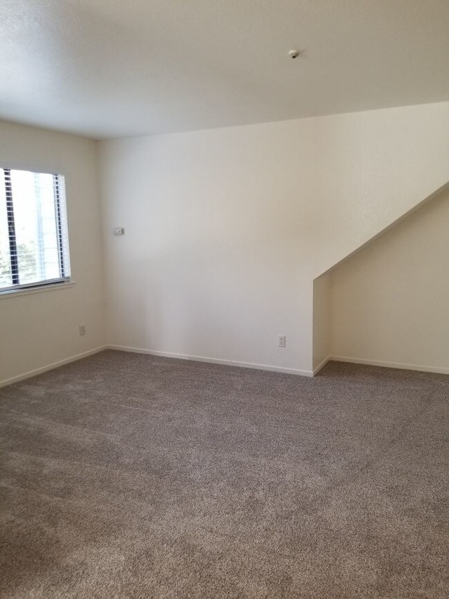 Building Photo - Downstairs Sebastopol Apartment