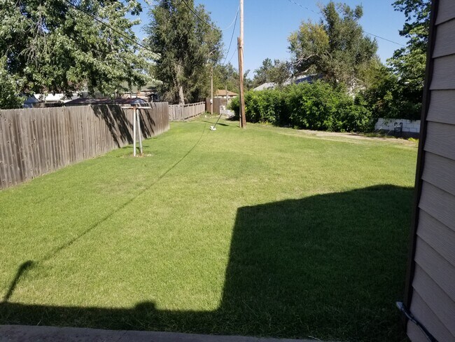 Backyard - 413 Princeton Ave