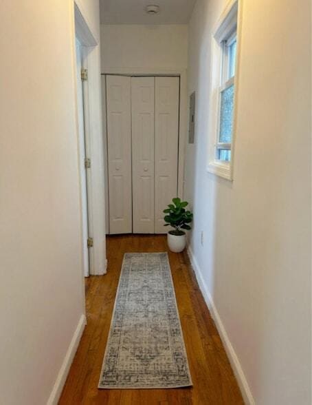 Photo - 35 Stegman Street Unit 2 House