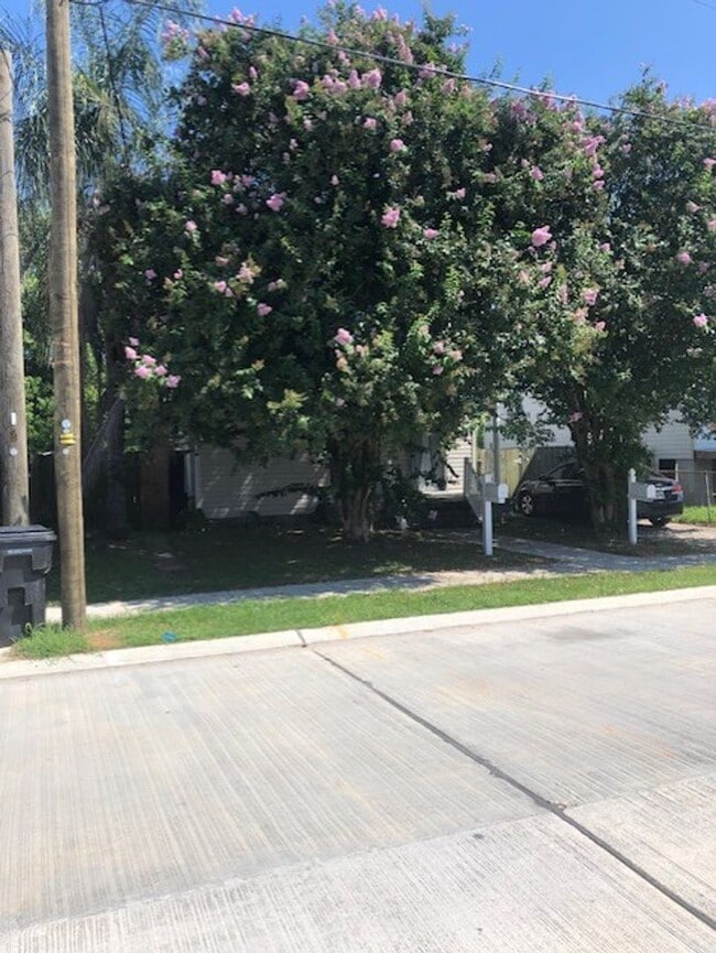 Building Photo - 2665 Abundance St