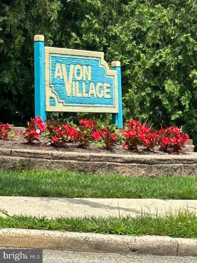 Primary Photo - 8 8-z-8 Avon-8
