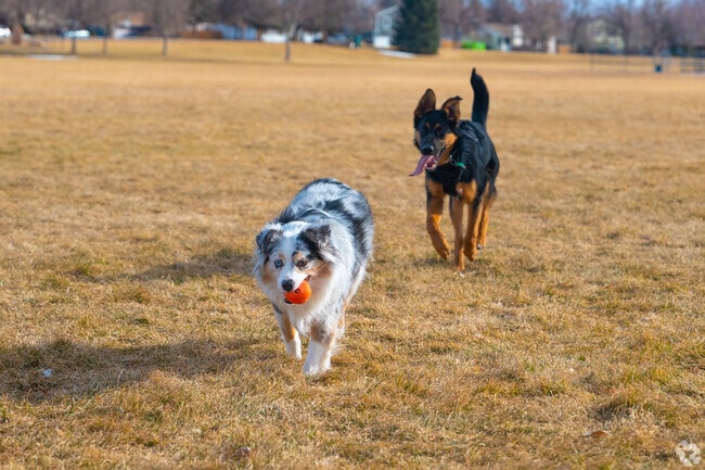 Cherry Creek State Park has an off leash dog area just down the street from Cherry Creek Ra