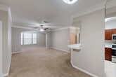 This well-appointed single-story, 3-bedroom, 2-bathroom home at 3030 Dunvale Road in Houston, Texas offers a comfortable and functional layout. The open living area is finished with plush carpet, elegant crown molding, and ceiling fans, while arched architectural details and a peninsula breakfast bar create a natural flow into the kitchen. The kitchen features rich, warm-toned cabinetry, stone countertops, a tile backsplash, and tile flooring, with an adjacent in-unit laundry area providing added convenience. Natural light filters through window treatments throughout the home, enhancing its warm, neutral color palette. The primary bedroom is a generously sized retreat with crown molding and a well-lit en suite bathroom complete with a dual-sink vanity, tile flooring, and a tub-shower combination. The two additional bedrooms are carpeted, bright, and each serviced by closets with built-in shelving. A second full bathroom mirrors the clean, functional design of the primary bath. Three closets throughout the home offer ample storage. The single-floor layout ensures easy accessibility and a cohesive living experience, making this Houston home a practical and inviting residence.