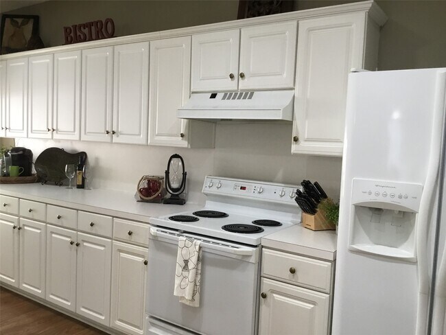 Foto del edificio - 3 N Spiral Vine Cir