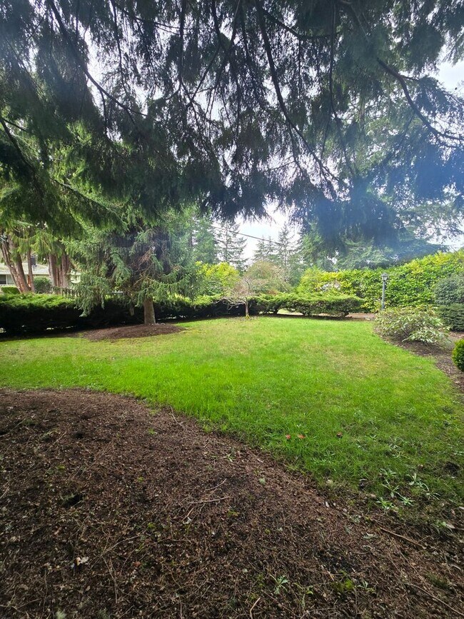 Foto del edificio - Beautiful 3 bedroom on large lot.