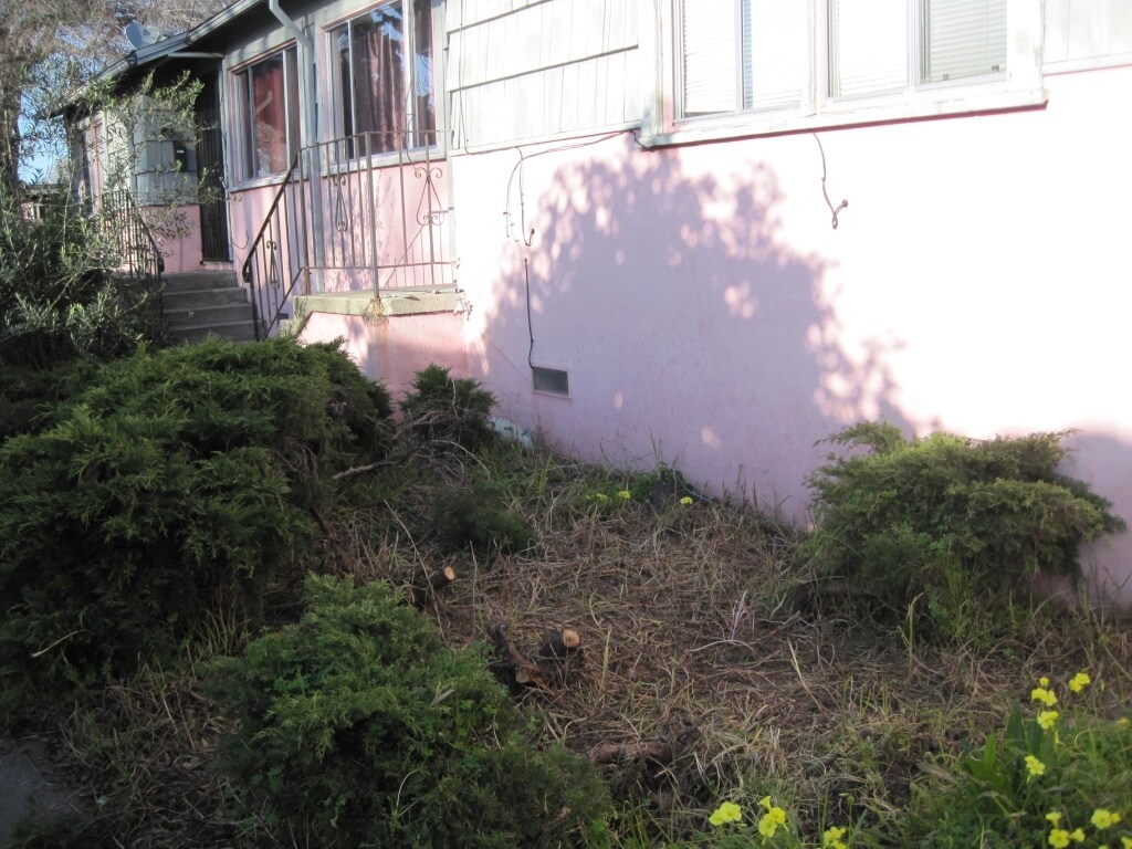 Primary Photo - 1319 Haskell St