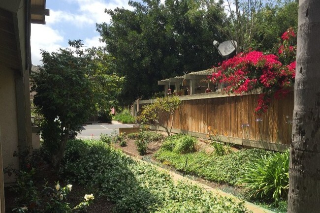 Walkway - 5955 Caminito Deporte