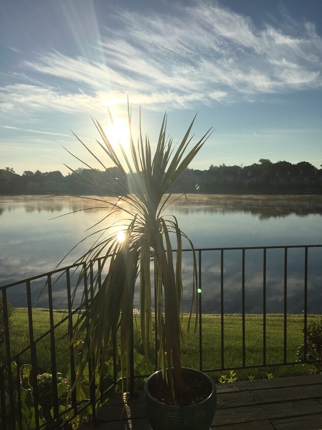 8406 Tuckaway Shores Dr, Franklin, WI 53132 Condo for Rent in