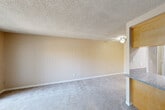 Located at 5200 Canyon Crest Dr in Riverside, California, this single-floor residence offers one bedroom and three bathrooms within a well-organized layout. The open-concept living and dining area is anchored by soft neutral-toned carpet, warm beige walls, and a textured ceiling with a ceiling fan overhead. A pass-through counter with granite-style countertops connects this space to the kitchen, creating a natural flow between the two areas. Sliding glass doors with vertical blinds open to a private balcony, allowing natural light to fill the living space while offering outdoor views. The galley-style kitchen features light wood cabinetry with ample upper and lower storage, granite-style countertops, hardwood-style flooring, recessed lighting, a double basin sink, and white appliances including a range and built-in microwave. The bedroom is a comfortable, carpeted room with a window fitted with vertical blinds that invite natural light. Two closets provide practical storage throughout the unit. The bathrooms include a tiled tub-and-shower combination with a framed glass sliding door. The overall ambiance is clean, functional, and bright, offering a comfortable living environment in a convenient Riverside location.