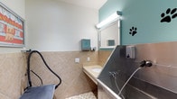 This single-floor pet grooming space is thoughtfully designed to accommodate the needs of both pets and their handlers. The room features a large stainless steel pet washing tub as its centerpiece, equipped with a mounted faucet and flexible hose for thorough rinsing. A separate hand sink with a countertop provides a hygienic space for handlers to wash up, topped by a well-lit vanity mirror with overhead fluorescent lighting. The walls are finished with diagonal-set beige ceramic tile wainscoting, creating a durable and easy-to-clean surface, while the upper walls are painted in a calming teal and soft white palette. A paw print decal on the teal accent wall adds a playful, pet-friendly touch that reinforces the room's purpose. Practical amenities include wall-mounted paper towel dispensers, a soap dispenser, and conveniently placed electrical outlets. A grooming arm or dryer hose is also visible, indicating the space is fully equipped for comprehensive grooming tasks. The overall design prioritizes functionality, cleanliness, and ease of use, making it a well-appointed facility for professional or shared pet grooming use.