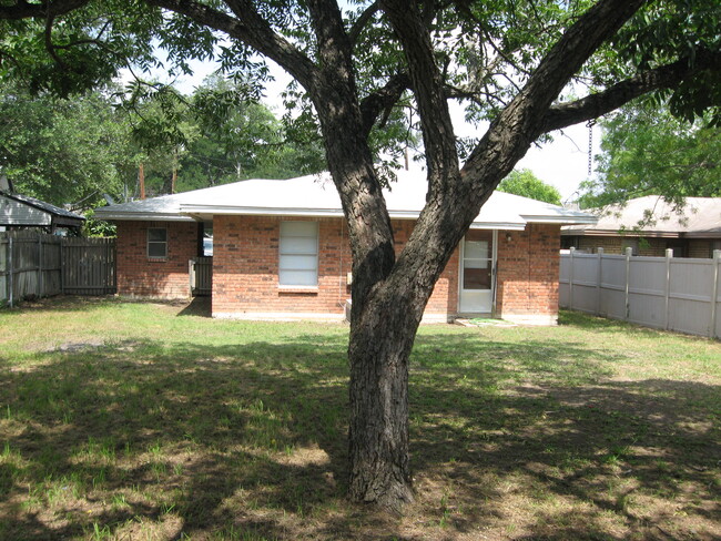 big pecan tree - 1213 Park St