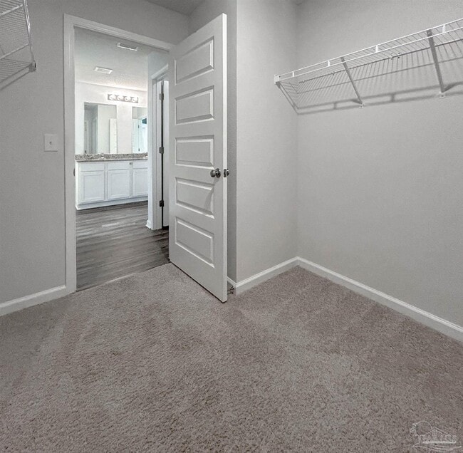 Building Photo - 4006 Whitetail Ln