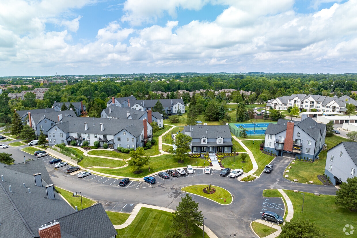 ReNew Ann Arbor - ReNew Ann Arbor