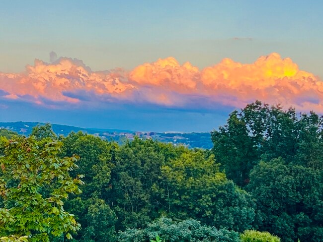 Building Photo - 37B Timrod Dr