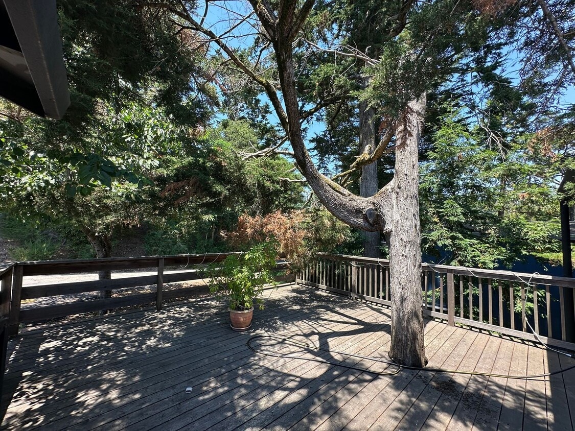 Primary Photo - Expansive House in the Monclair Village, Q...