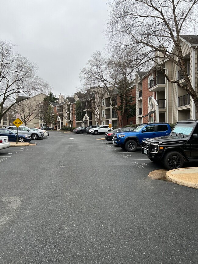 Reserved parking - 3303 Wyndham Cir