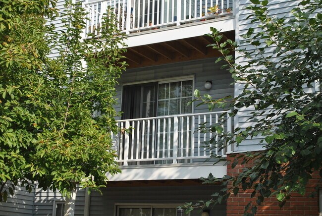 Foto del edificio - 771 Summer Ave