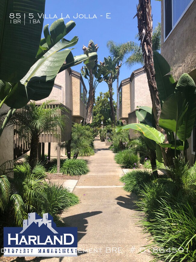Building Photo - La Jolla 1BD/1BA available June 5th!