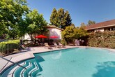 Located at 815 Pomona Ave in Chico, California, this outdoor amenity area centers around a generously sized swimming pool with clear turquoise water. The pool features a distinctive wading shelf with decorative tile detailing, providing a shallow entry point ideal for relaxing in the water. The surrounding pool deck is finished in light concrete and offers ample space for lounging, furnished with multiple reclining chairs and bistro-style tables shaded by bold red patio umbrellas. The atmosphere is enhanced by a lush canopy of mature deciduous and evergreen trees that frame the entire area, providing natural shade and privacy. A wrought iron perimeter fence encloses the pool area, ensuring safety and separation from the adjacent parking area. The setting reflects a classic California residential outdoor aesthetic, with well-maintained landscaping and an open-air ambiance that benefits from the region's abundant sunshine. The multi-story residential buildings visible in the background are finished in neutral stucco and wood-accented siding, complementing the natural surroundings. Safety equipment including a life ring is mounted on the fence, and the overall layout is designed to accommodate both active recreation and quiet relaxation in an attractive, tree-lined environment.