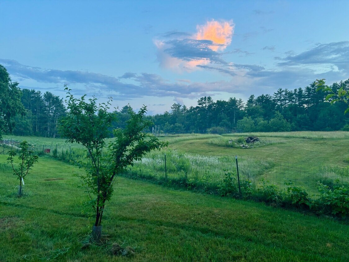 Foto principal - 437 Little River Rd