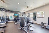 Located at 5821 W McDowell Rd in Phoenix, Arizona, this fitness center offers a single-floor exercise room designed to support a well-rounded workout experience. The space features durable rubber flooring and a clean, modern aesthetic, with crisp white walls accented by a bold navy-and-white geometric patterned feature wall that adds a stylish focal point to the room. Recessed lighting and a ceiling fan maintain a bright, comfortable environment throughout.

The exercise room is comprehensively equipped with a variety of Matrix strength-training machines, a full dumbbell rack, and multiple cardio units including treadmills, elliptical trainers, and a recumbent bike. Wall-mounted mirrors along one side of the room enhance the sense of openness and allow users to monitor their form. A large flat-screen television is mounted near the free weights area for entertainment during workouts.

Natural light filters in through several windows that offer views of the surrounding Phoenix landscape. A beverage vending machine and a dual-level water fountain station provide convenient hydration options. The space also includes seating and a posted fitness center rules board. A glass exit door provides direct outdoor access, further enhancing the airy, open feel of this well-appointed fitness facility.