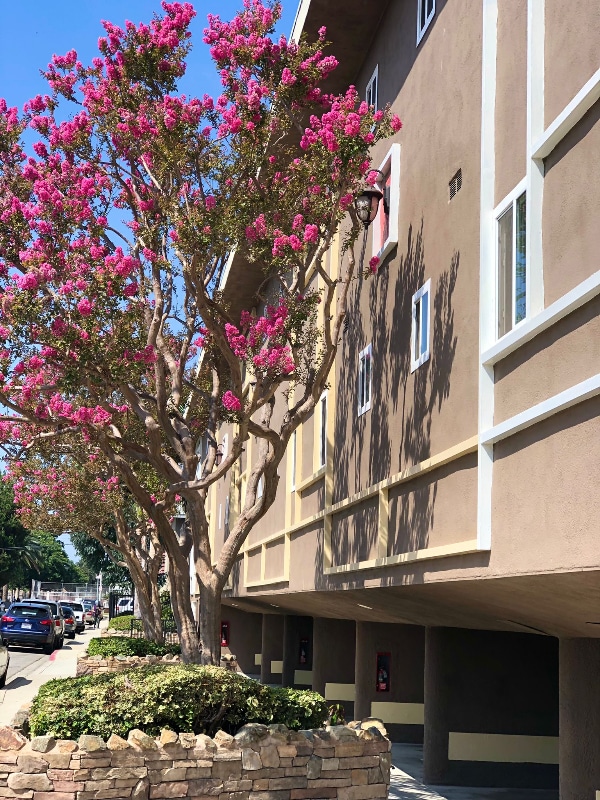 Photo - 4735 W Broadway Apartment