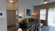 This single-floor space showcases a contemporary living area designed with a cohesive color palette of charcoal, gold, and warm neutrals. The living room serves as the focal point, furnished with a tufted gray sofa adorned with mustard yellow and patterned throw pillows that add visual interest. A bold abstract artwork in navy and gold anchors the main wall, reinforcing the space's modern aesthetic. Two matching metallic table lamps flank the sofa, providing warm ambient lighting that complements the natural light filtering through a window fitted with horizontal blinds. Dark hardwood flooring grounds the room and contrasts elegantly with the light-toned walls. A striped area rug and a glass-top coffee table add layers of texture and dimension. A round dark side table with decorative accessories contributes to the curated styling. The layout opens toward a hallway leading to a bedroom, visible in the background, which appears bright and well-lit. The overall ambiance is polished and inviting, blending functional living with thoughtful design details that create a cohesive and contemporary atmosphere throughout the space.