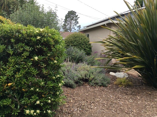 Building Photo - Aptos