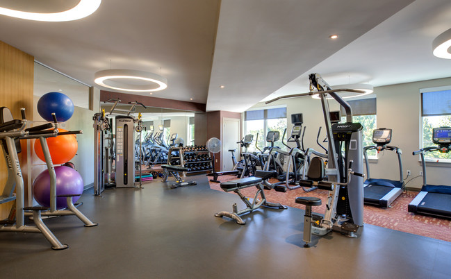 24/7 Fitness Center - Lumiere