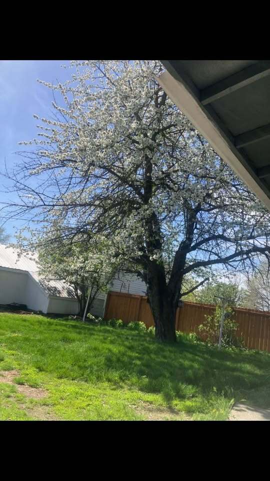 Foto del edificio - 2611 W Broad Ave