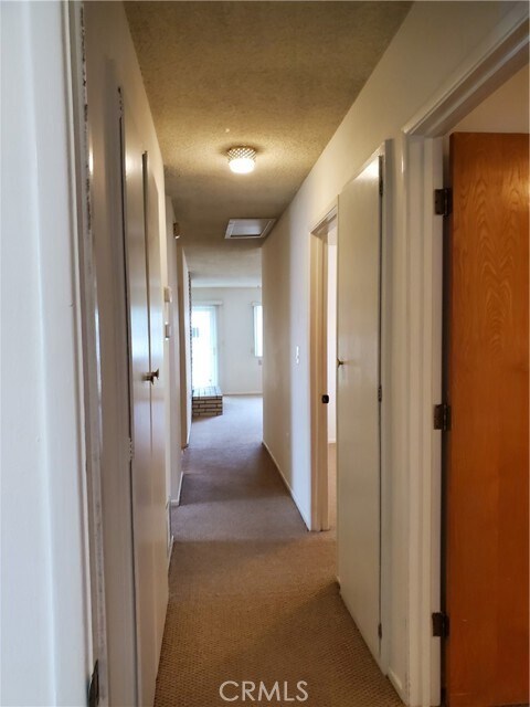 Foto del edificio - 217 Ryan St