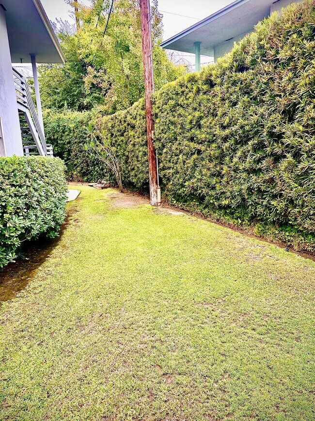 Backyard - 1729 Raymond Hill Rd