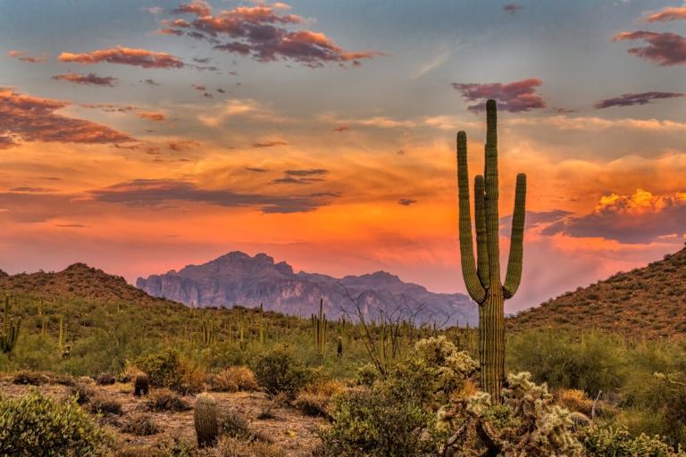 Loft Apartments for Rent in Tucson AZ | Apartments.com