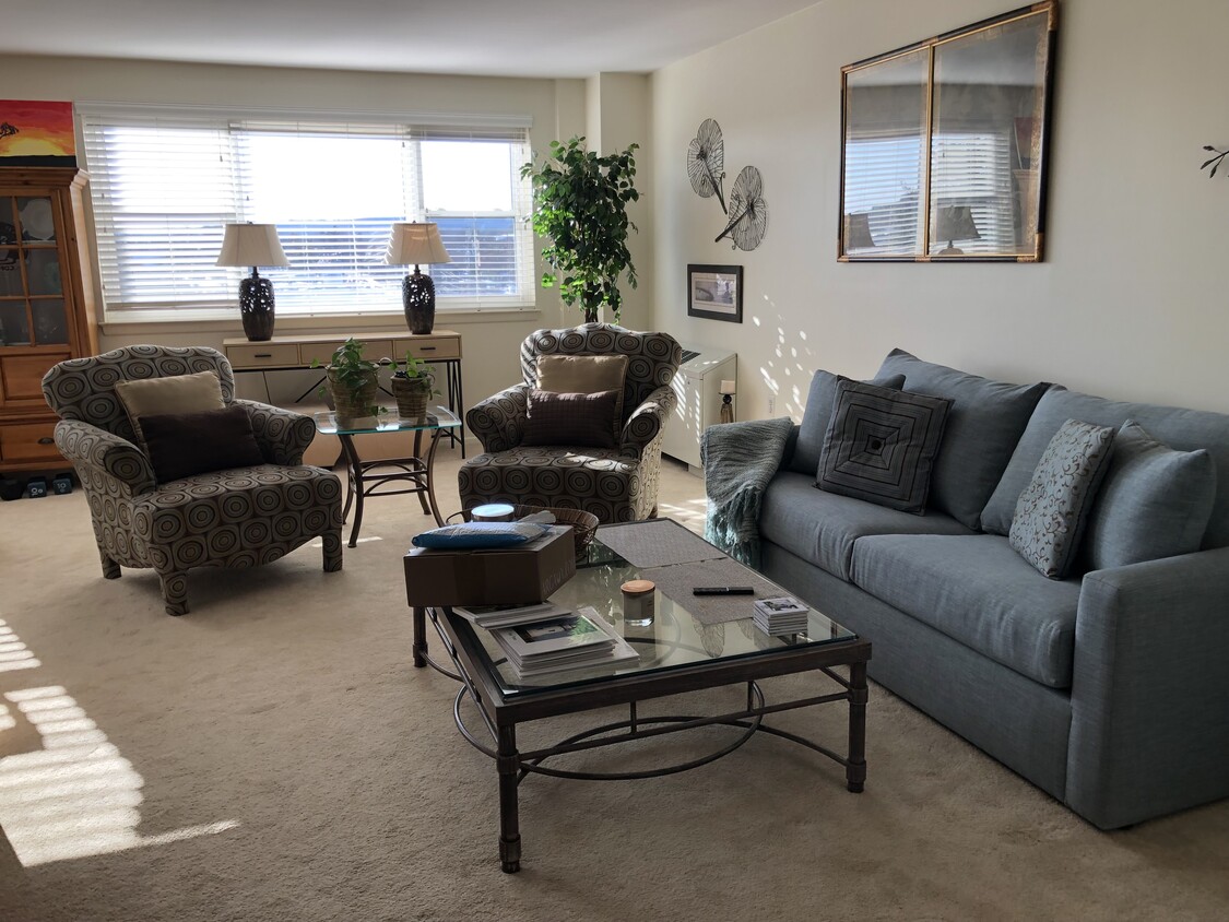 Living Room w/ sleeper sofa - 893 Farmington Ave
