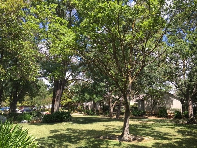 Building Photo - Valley Oak Apartments
