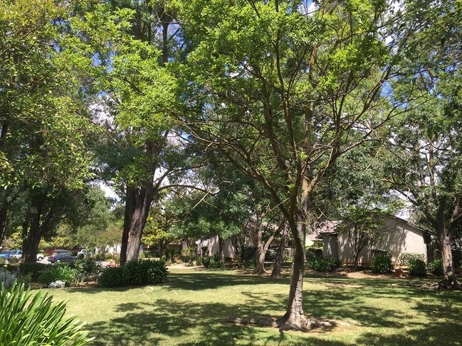 Foto del edificio - Valley Oak Apartments