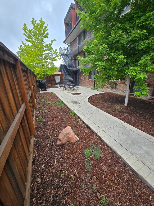 Patio - 30 Emerson St