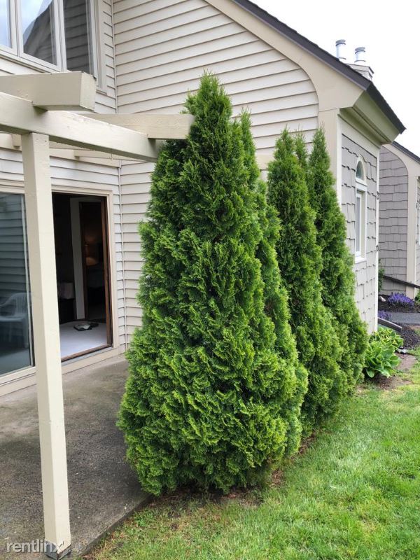 Foto del edificio - 2 br, 2 bath Condo - 70 Little Oak Ln