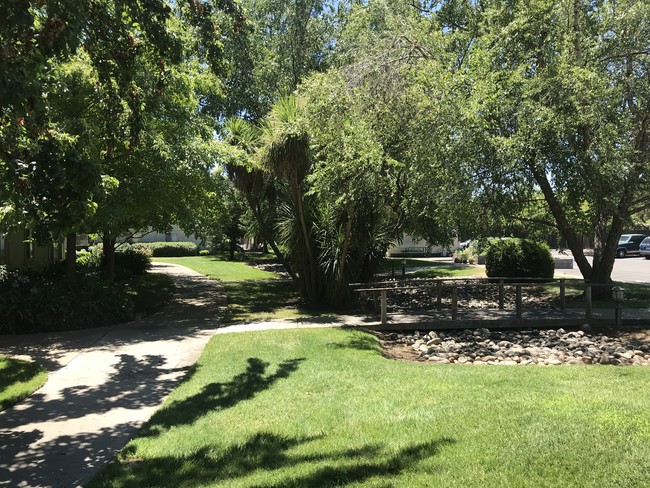 Grounds - 1225 Morse Ave