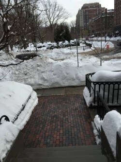 Foto del edificio - 93 Beacon St