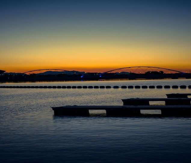 ASU borders Tempe Town Lake