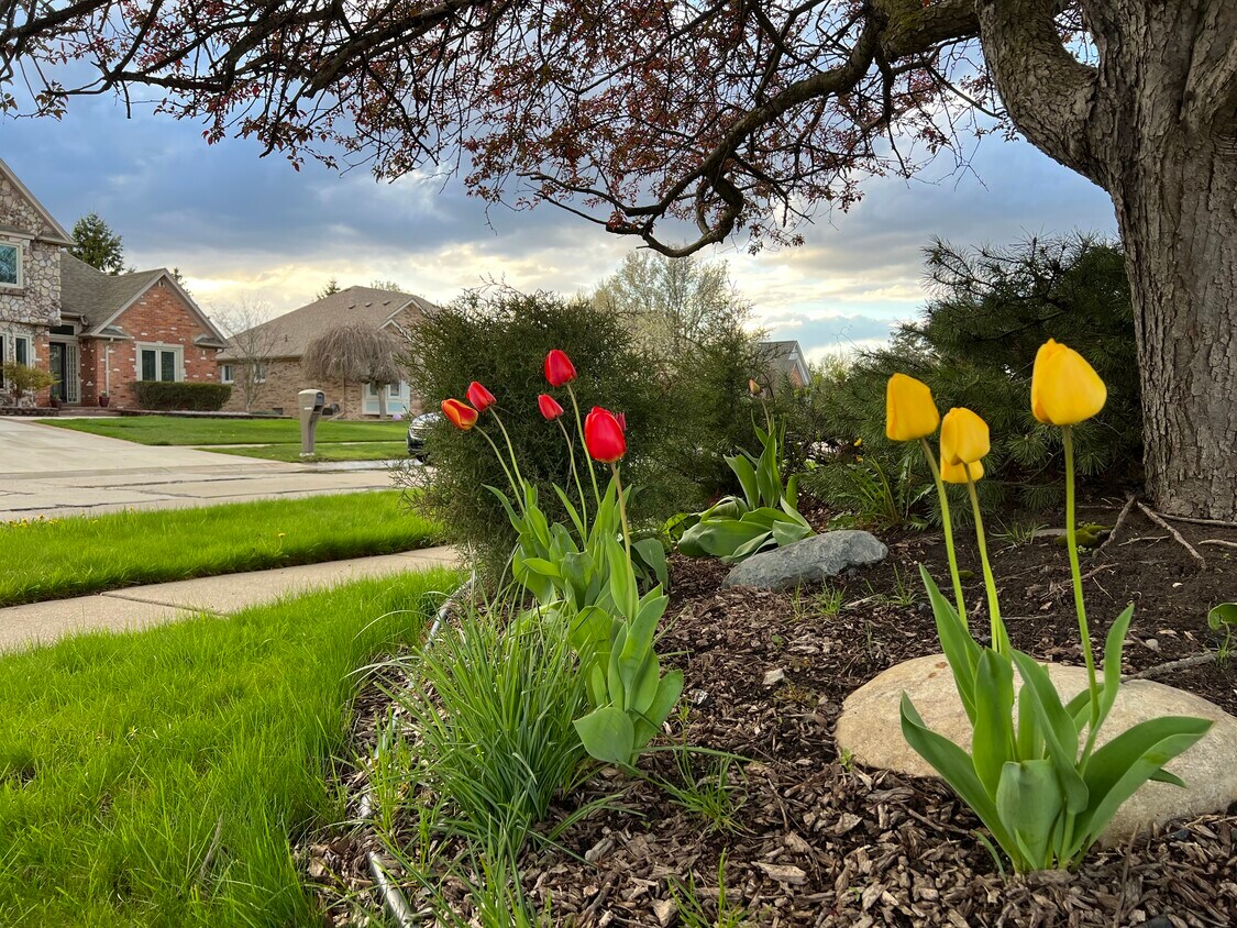 Foto principal - 47240 Freedom Valley Dr