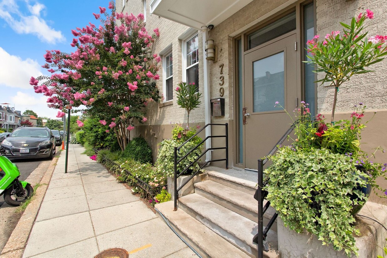 Foto principal - Columbia Heights Updated One Bedroom on Qu...