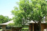 Foto principal - 1409 Carriage Ln