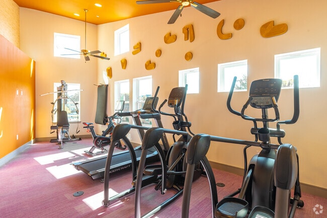 Fitness Center - Jaipur Lofts