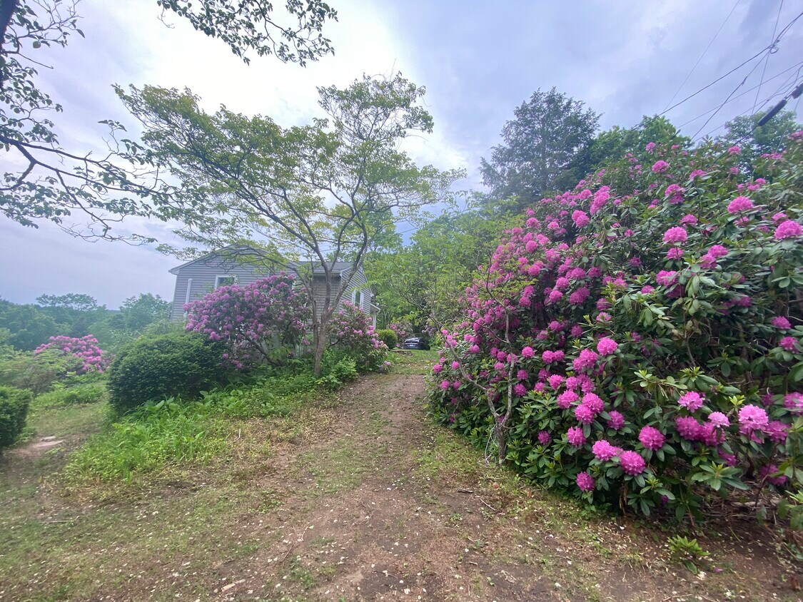 123 Looking Glass Hill Rd, Morris, CT 06763 House Rental in Morris