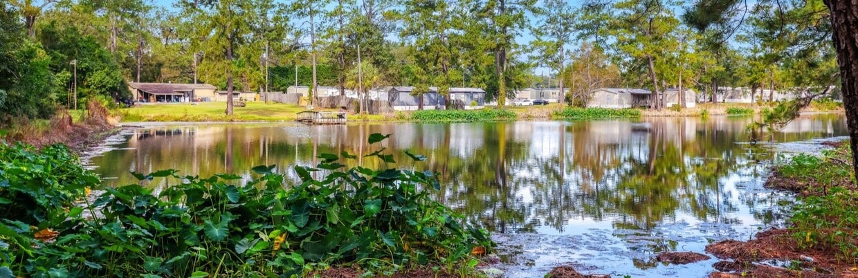 Primary Photo - Pinetree Place